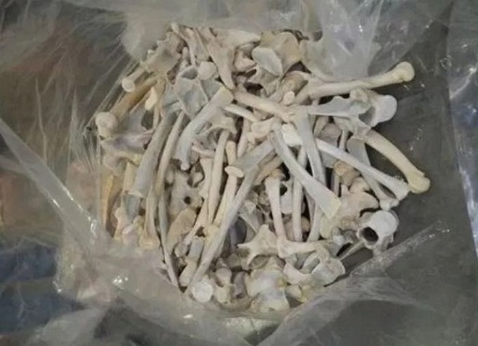 이미지에 대체텍스트 속성이 없습니다; 파일명은 a3672dxjvi2akfl53pw2.jpg 입니다.