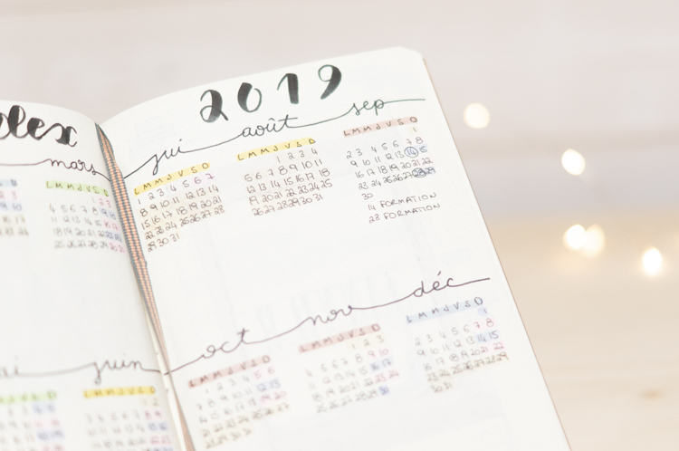 Janvier dans mon Bujo | Le blog de Lau Demoizelle