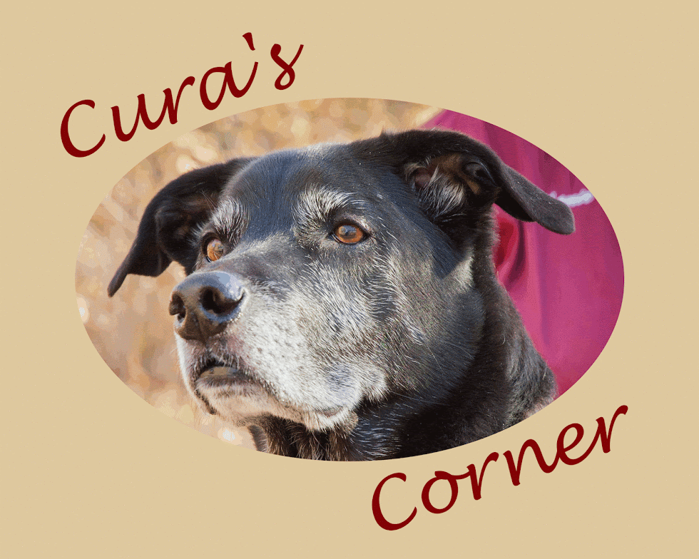 Cura's Corner