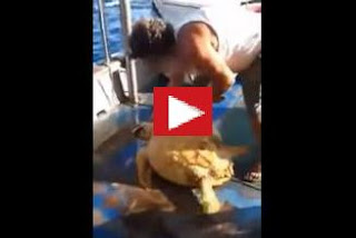 http://greece-salonika.blogspot.com/2016/07/facebook_9.html