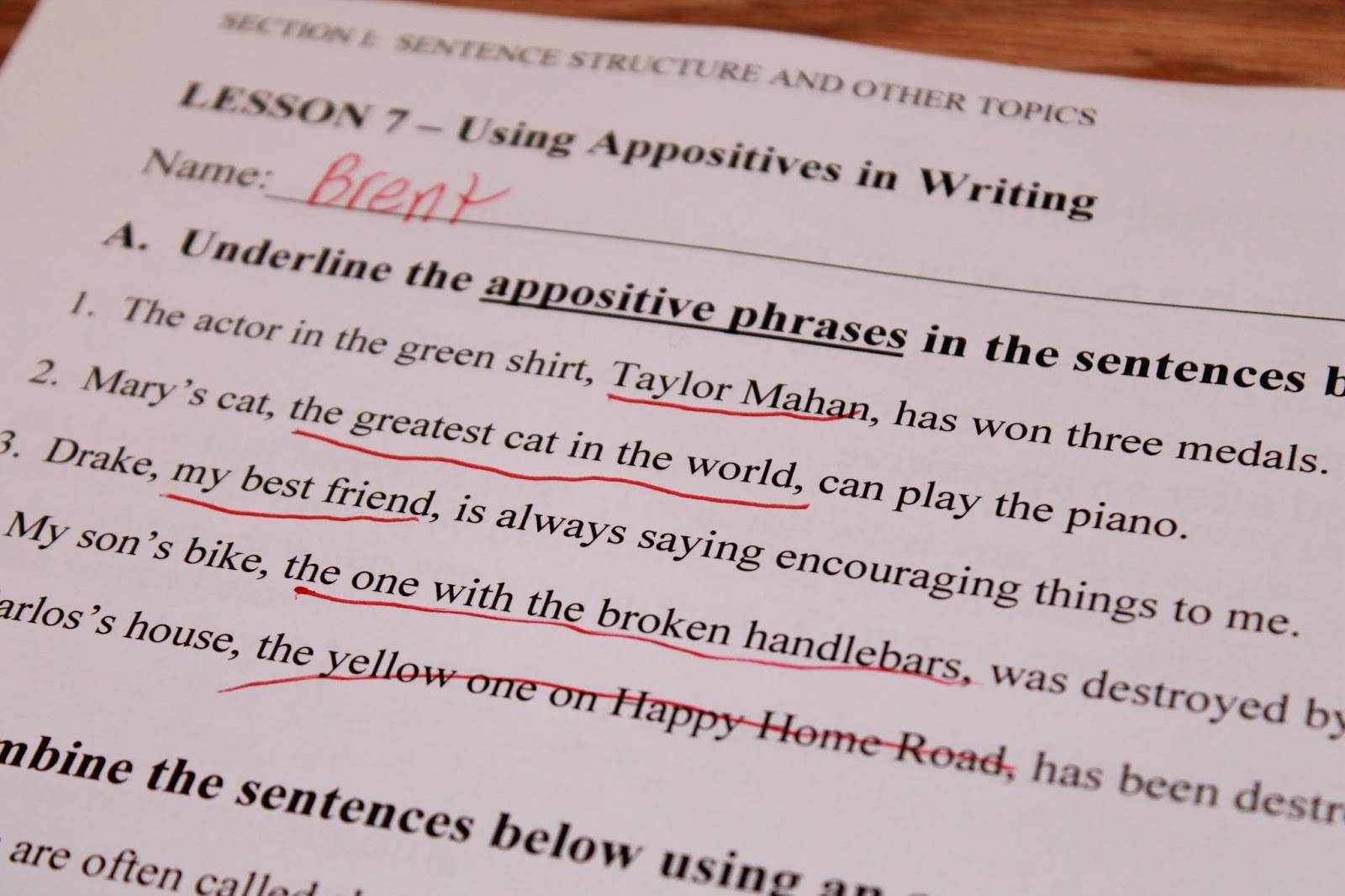 Writing scientific research papers mimi zeiger