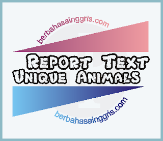 9 Contoh Report Text tentang Hewan Unik dalam Bahasa Inggris dan Terjemahannya