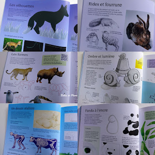 Bulles de Plume Idées pour peindre et dessiner les animaux  Editions Usborne
