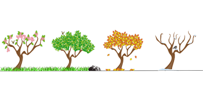 Arbre au Fil des Quatres Saisons