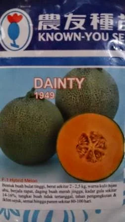 Melon Dainty murah, perawatan mudah, rasa manis, daging keras, kulit bernet, dainty, Melon Dainty, Melon Orange, Melon Daging Merah, Melon Known You Seed, Benih, Bibit, Melon Merah, Melon Orange