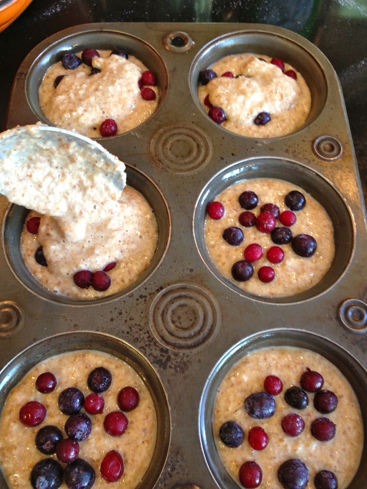 The Baked Alaska Project Cranberry & Blueberry Bran Muffins
