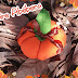 Alfineteiro Abóbora / Pumpkin Pincushion