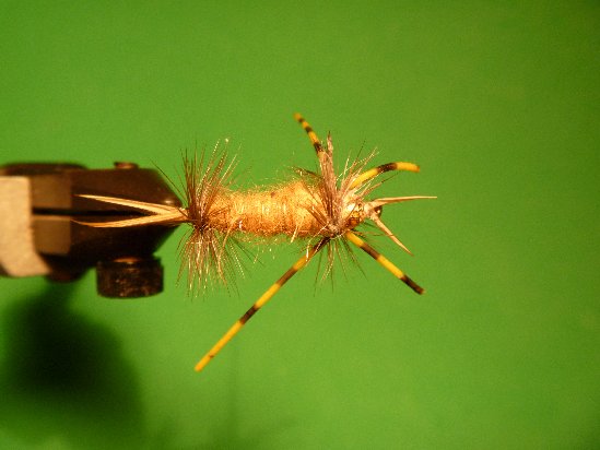 patbeesfishin
