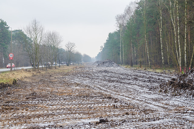 Rozbudowa ulicy Grunwaldzkiej w Bydgoszczy