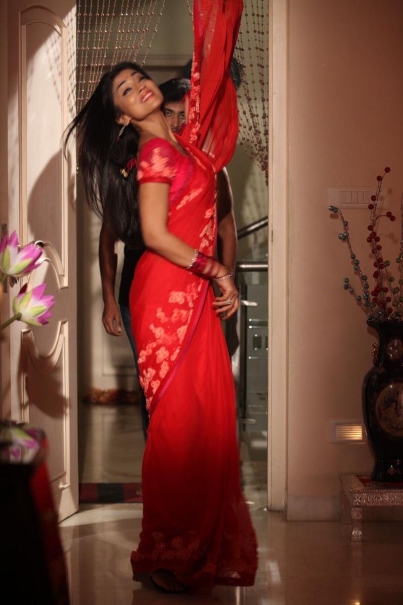 Shriya Saran In Red Hot Saree Stills South Indian Actress 