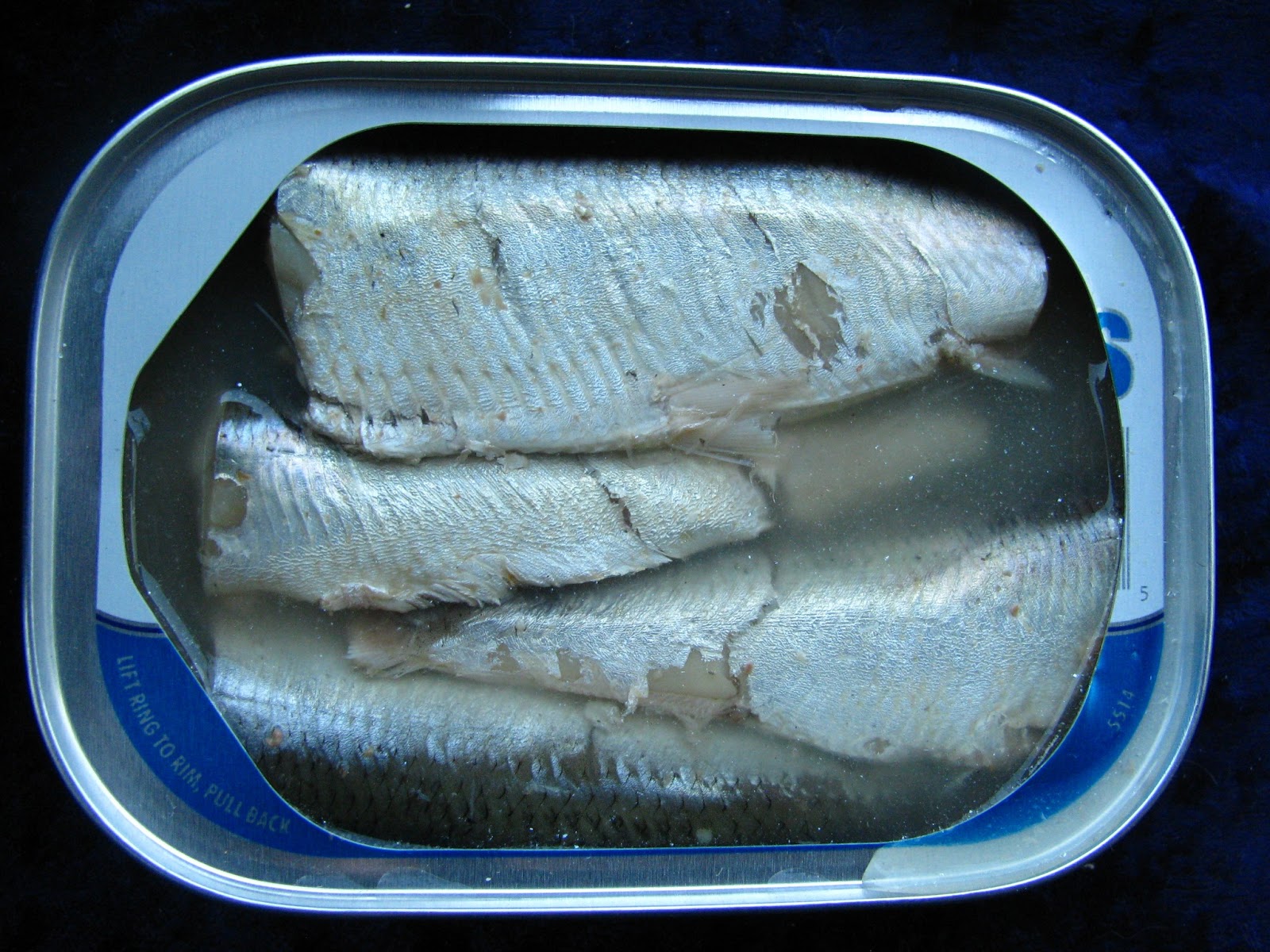 Open Beach Cliff Sardines