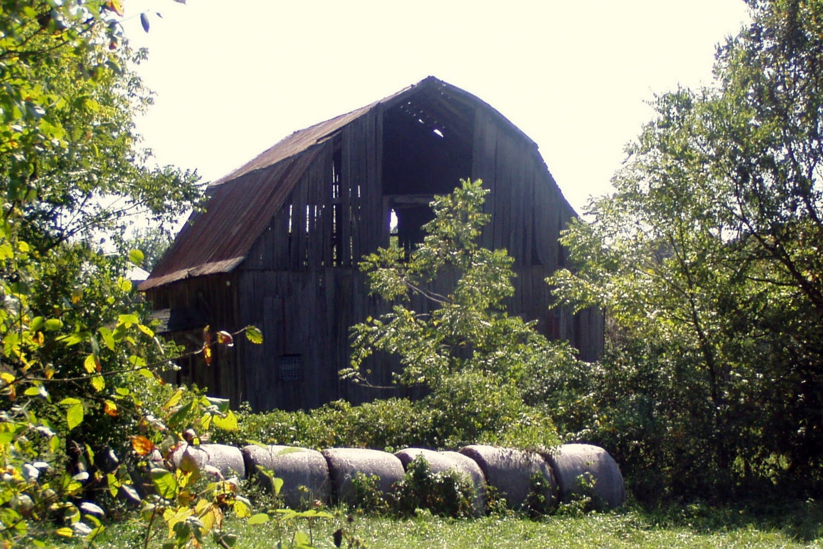 Ozark Mountain Family Homestead Secret Places in the Ozark Mountains