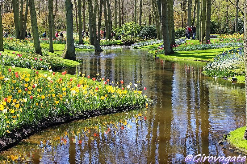 parco fiori keukenhof olanda