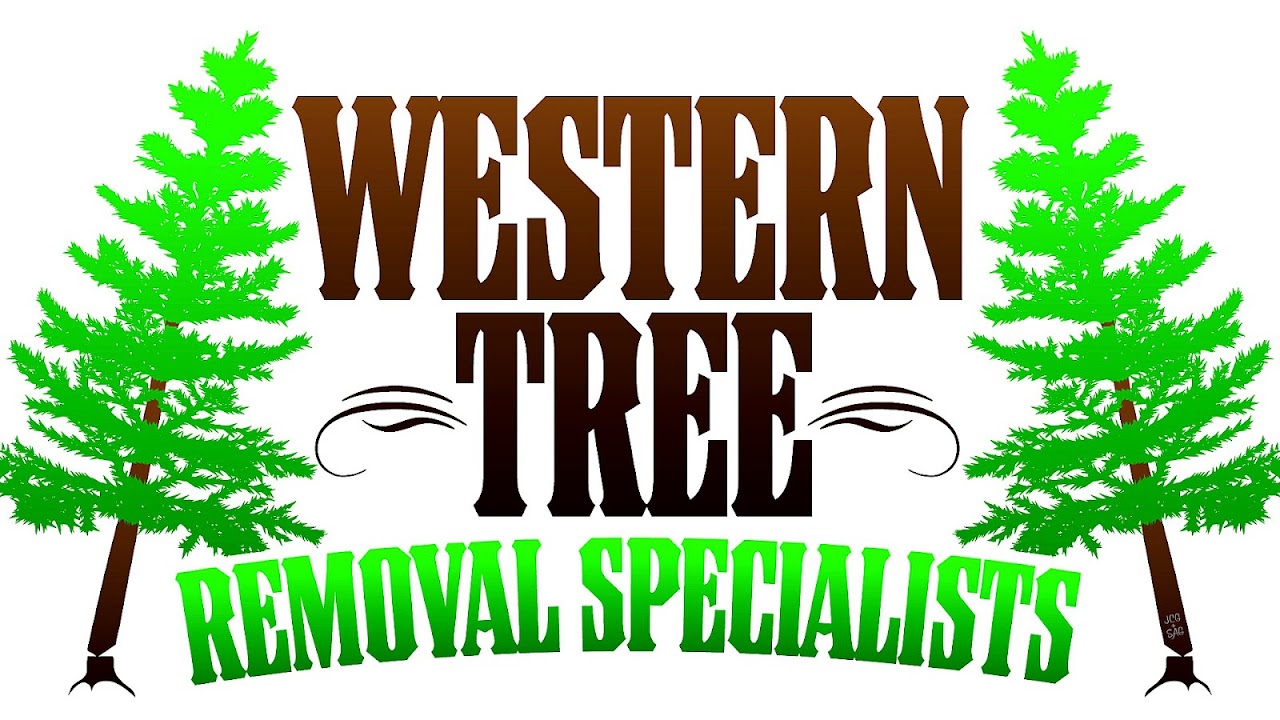 Windsor specialists western ca tree removal