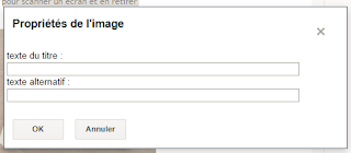 balise alt texte alternatif