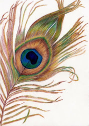 pencil peacock colored sketches feathers coloured feather drawing drawings colour sketch bird pencils colorful sketchbook painting peacocks artwork coloring artfulevidence