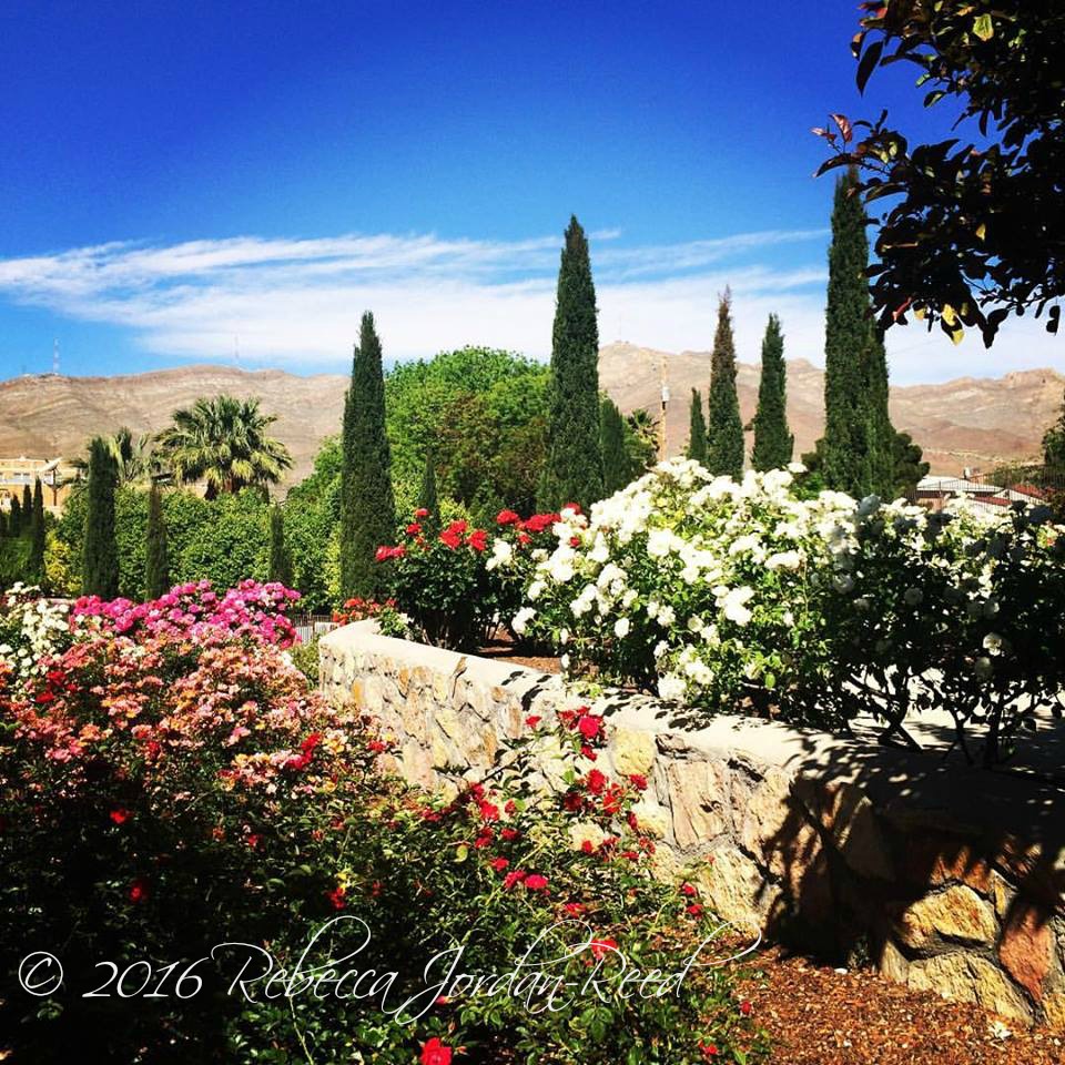 Girl Loves Diy Photography El Paso Municipal Rose Garden