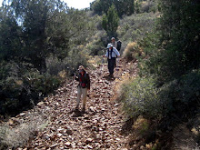 130323 - Ryal Canyon Trail