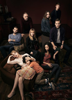 poster the slap