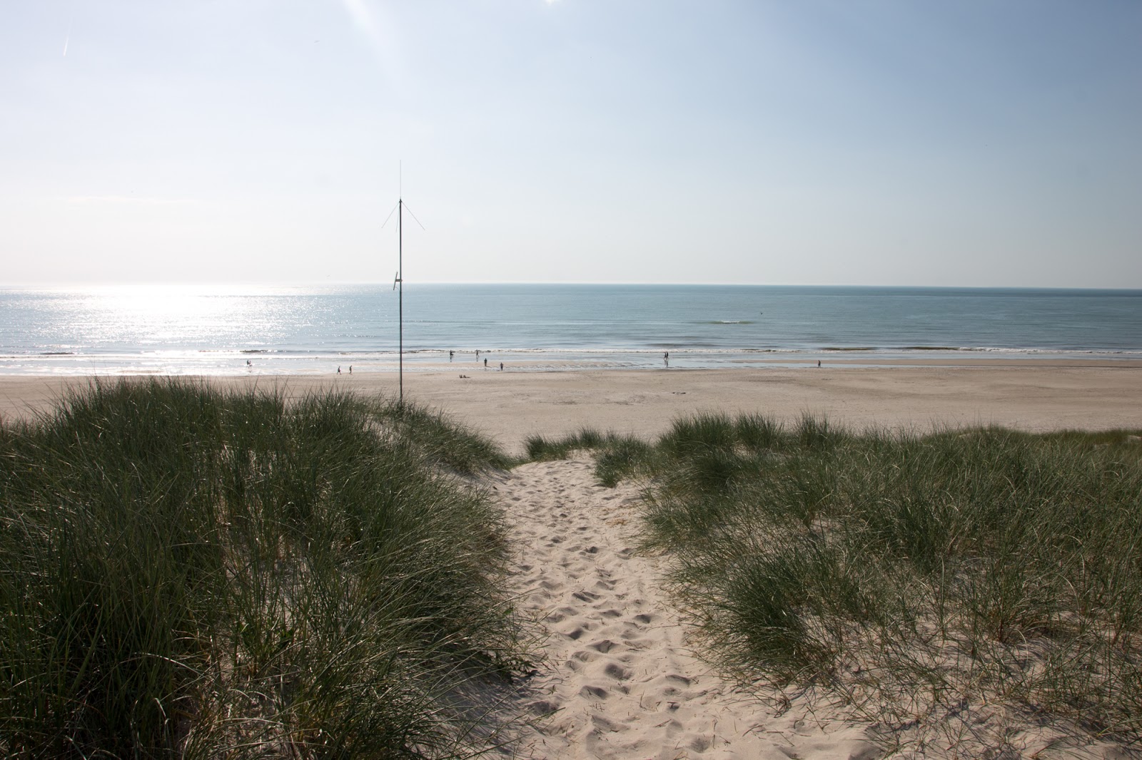 Bad Cannstatt Info Wein Und Brezelfest