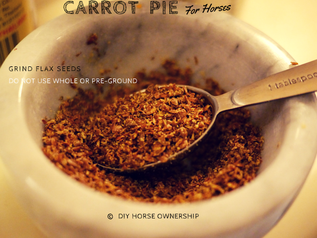 DIY Carrot Pie for Horses Recipe