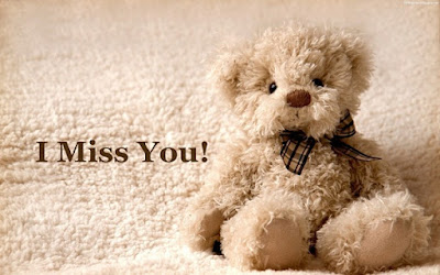 teddy bear teddy bear