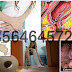 Antihemoroid Obat Berak Darah dan Dubur Bengkak thumbnail