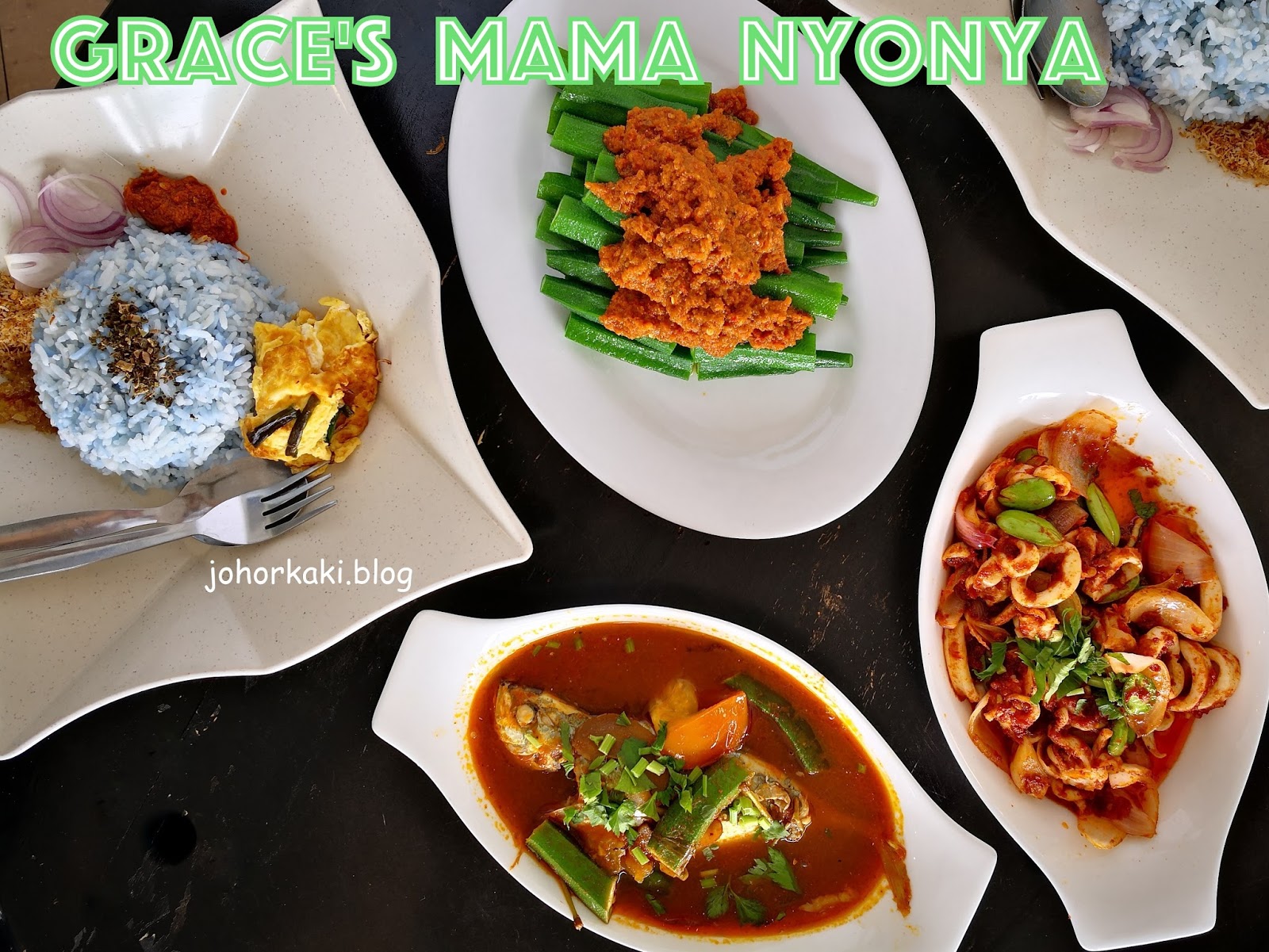 Best Nyonya Food in Johor Bahru JB List. Grace's |Johor Kaki Travels