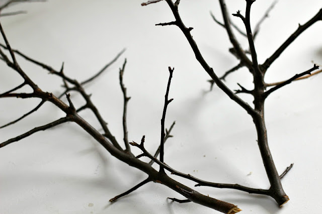 tree branch acorn centerpiece