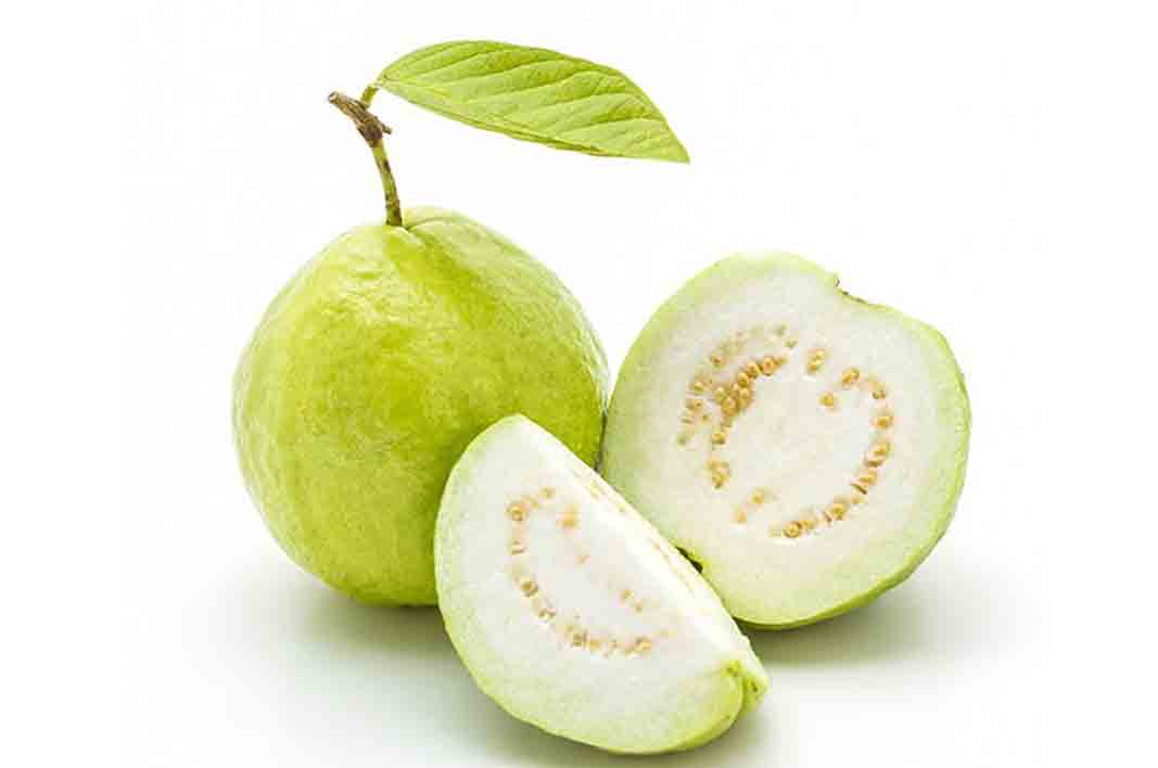 WooaaH...Benefits of Guava to Treat Diarrhea Healthy