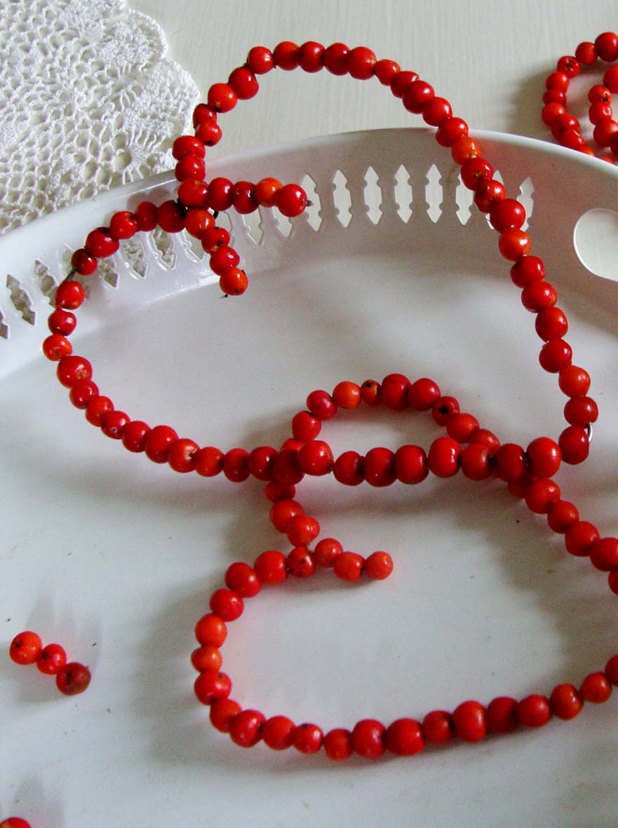 Vårt röda hus: Hjärtan och hängen av rönnbär