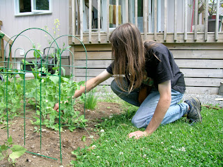 semer, transplanter, entretenir journaljose.blogspot.com - J'OSE la vie !