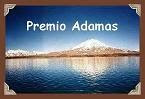 Day 335- Premio Adamas