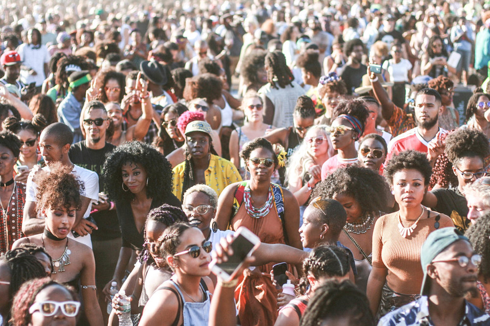 AFROPUNK Fest August 2023 365 Festivals Everyday is a Festival!