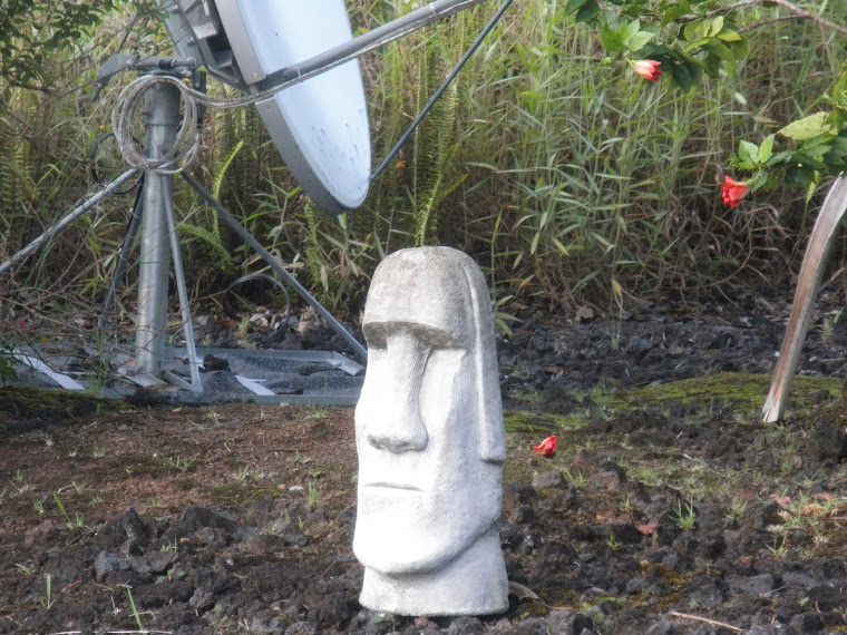 Ancient Mushroom Forehead to Modern Form of Communication?