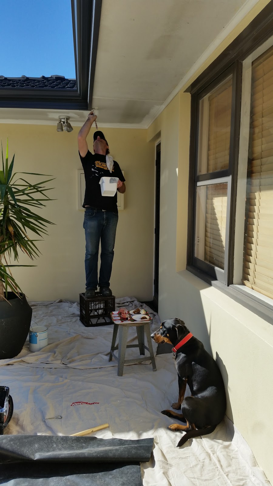 Jarrah Jungle DIY Painting The Eaves Around The House