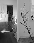 es sind eher so schwarz-weiß bilder geworden weil das wetter ziemlich . img 