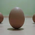 Fenomena Telur Berdiri