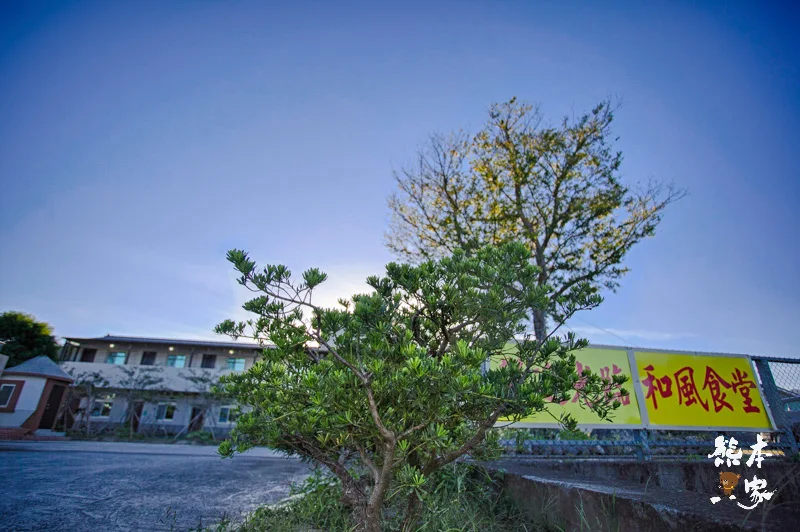 苗栗公館落羽松IG私房景點|和風民宿~秋天才有的絕美景色&民宿環境