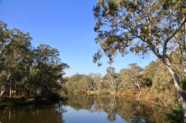 Mitchelton Wines, Nagambie Mitchelton Wines, Nagambie