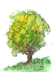 watercolor tree trees drawing ink pen nature young paintings simple painting sketch sketches drawings gestural 7x5 watercolour landscape sketchbook watercolours