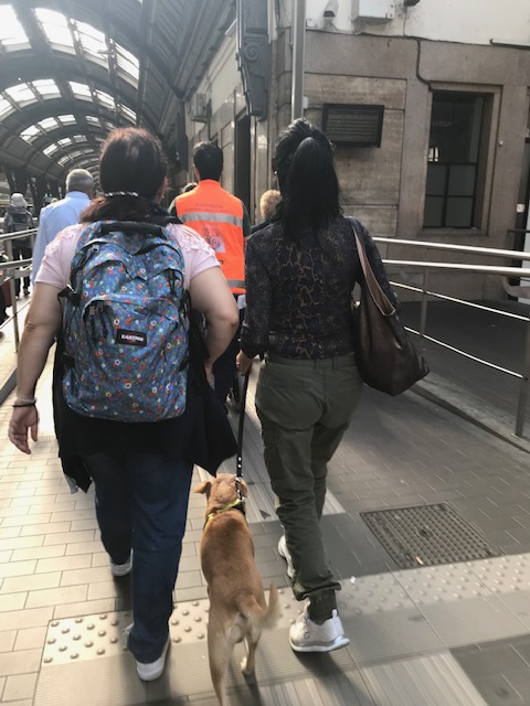 ミラノ中央駅構内でも犬連れの旅行者さんがいました
