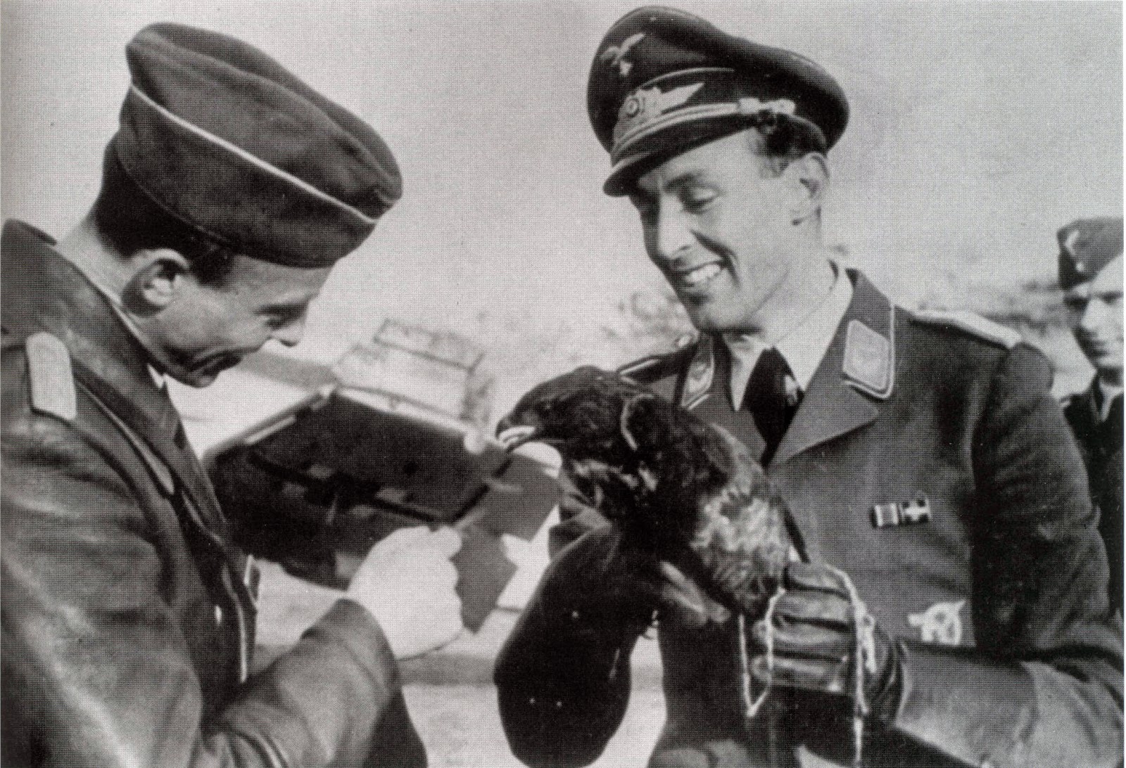 Nazi Jerman Foto Burung Vogel Leutnant Karl Gottfried Nordmann Kanan
