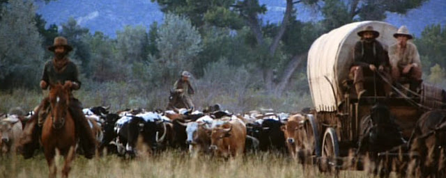 Recenzja filmu "The Culpepper Cattle Co." (1972), reż. Dick Richards