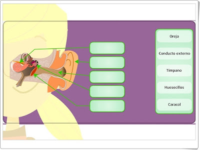 "El sentido del oído" (Juego de Ciencias Naturales de Primaria)