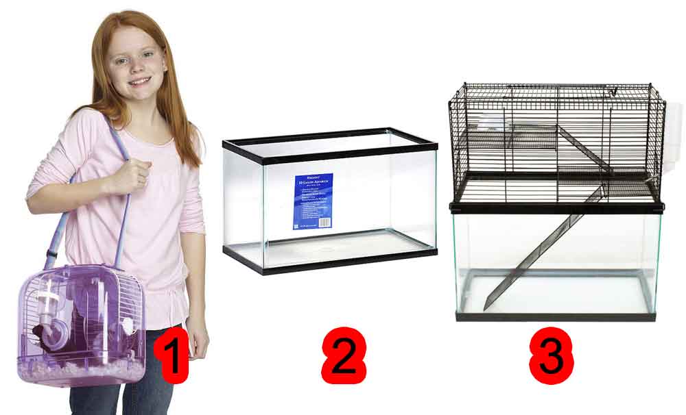 Whiskers, Tails, and Scales Mouse Care Guide