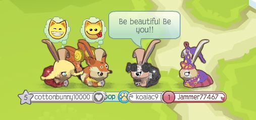 Animal Jam Posh Paw Club: The Posh Paw Club Introduction