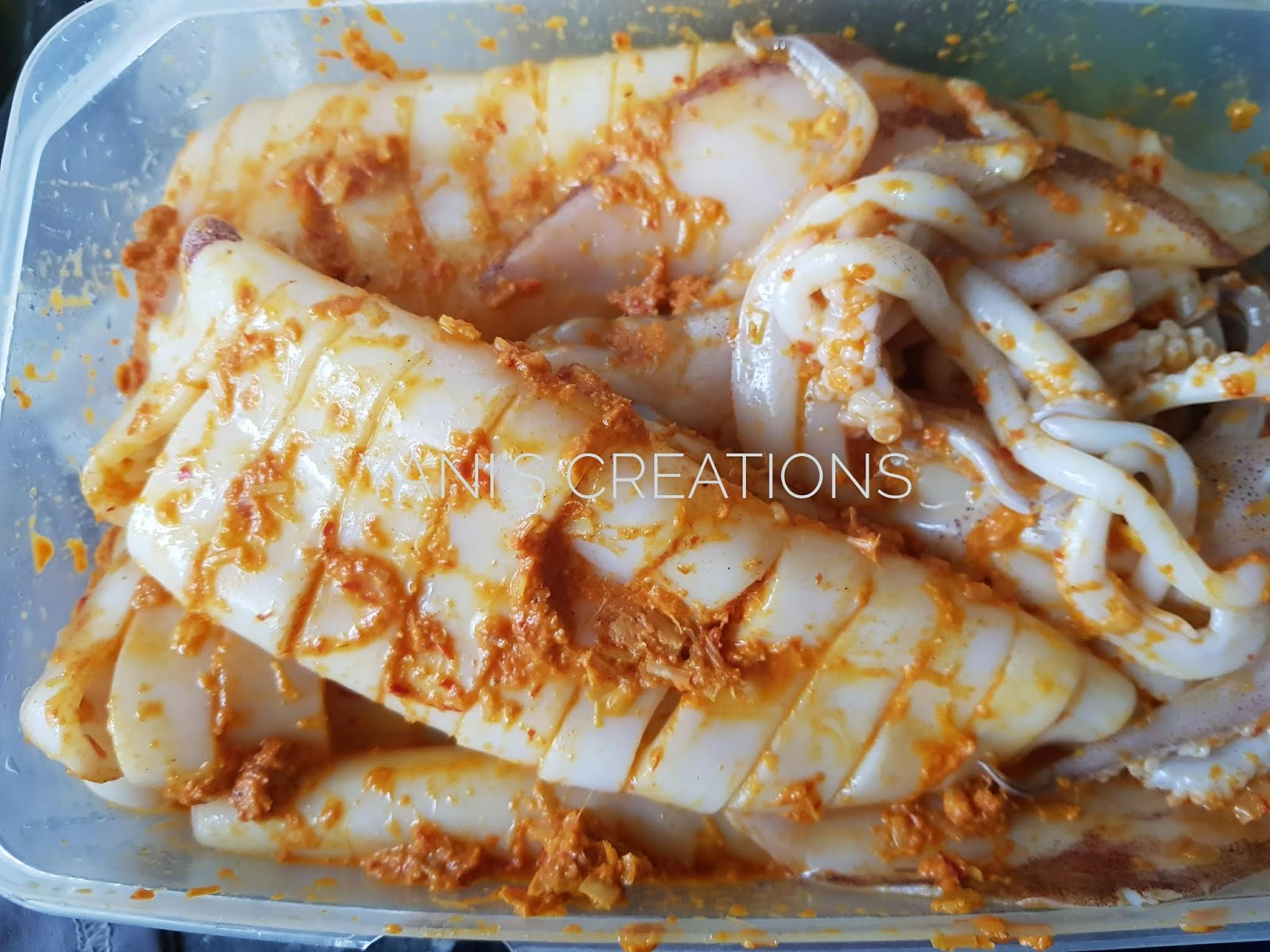 Sotong Bakar Berempah Myresipi Com