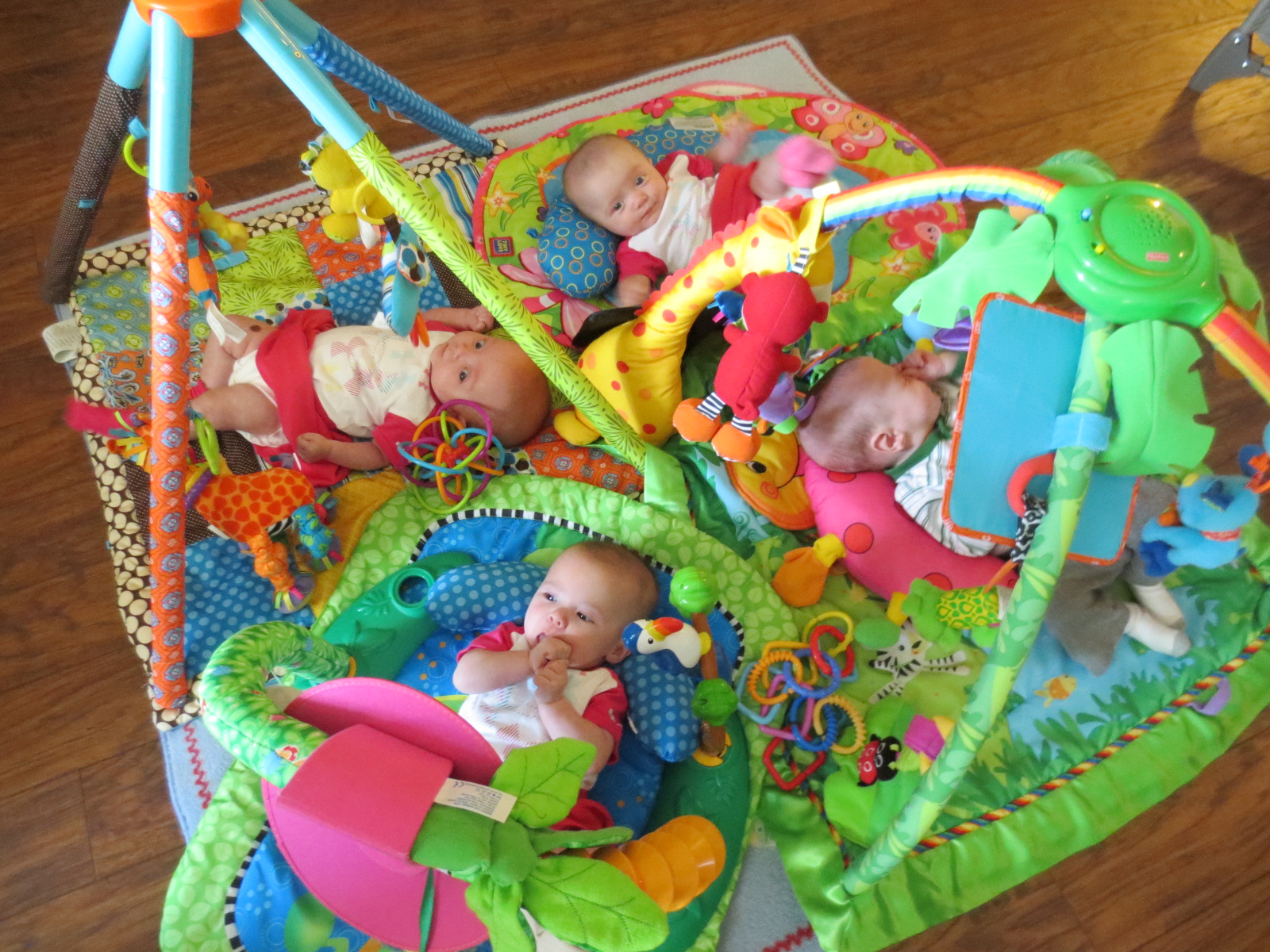 Linda's Life Journal FOUR Happy Healthy FOUR Month Olds!!