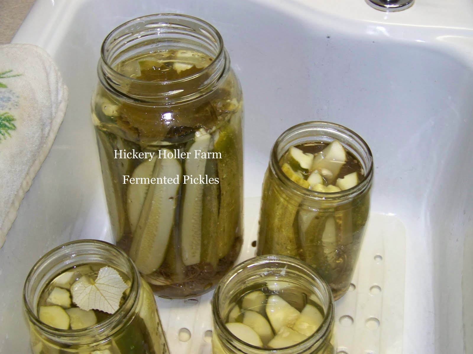 Hickery Holler Farm Fermented Pickles